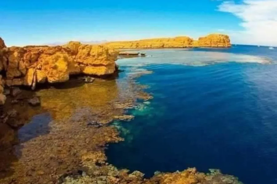 Sharm El Sheikh Full-Day Sea Trip