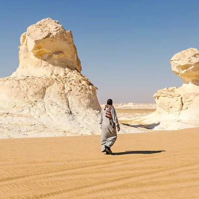 Bahariya Oasis